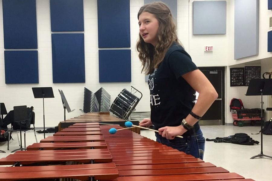Pineapple Project showcases talented percussionists