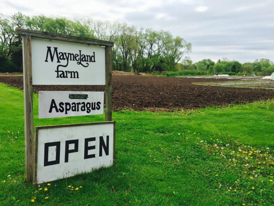 Mayneland Farm cultivates family tradition for 40 years