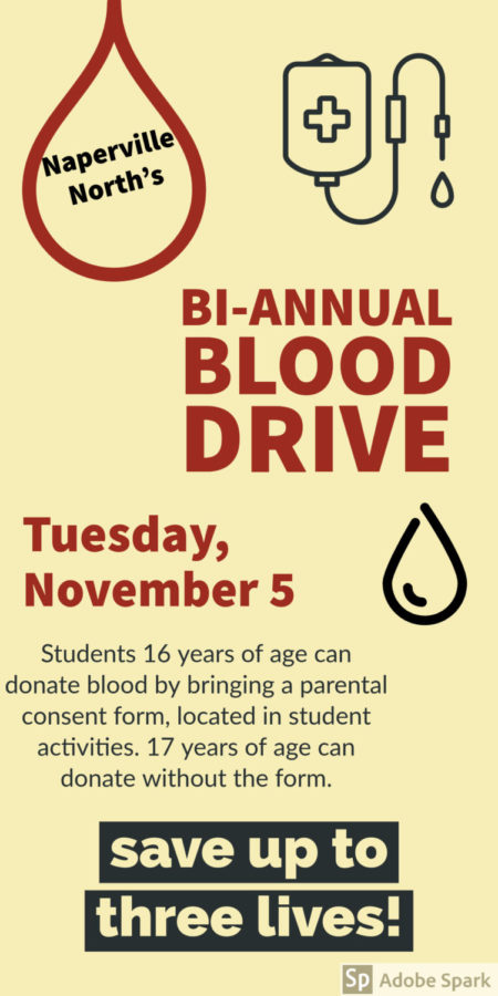 Naperville+North+hosts+bi-annual+blood+drive