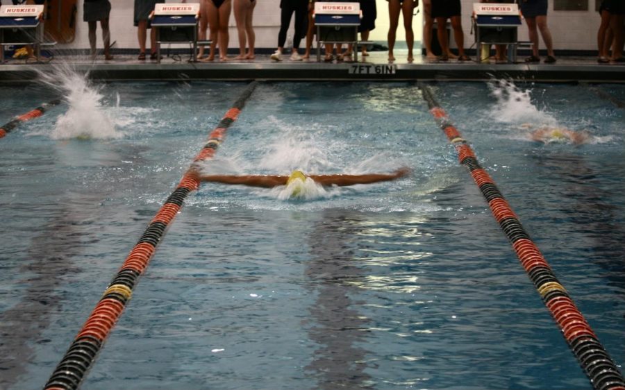 Senior Aimee DuHamel swims the butterfly stroke 