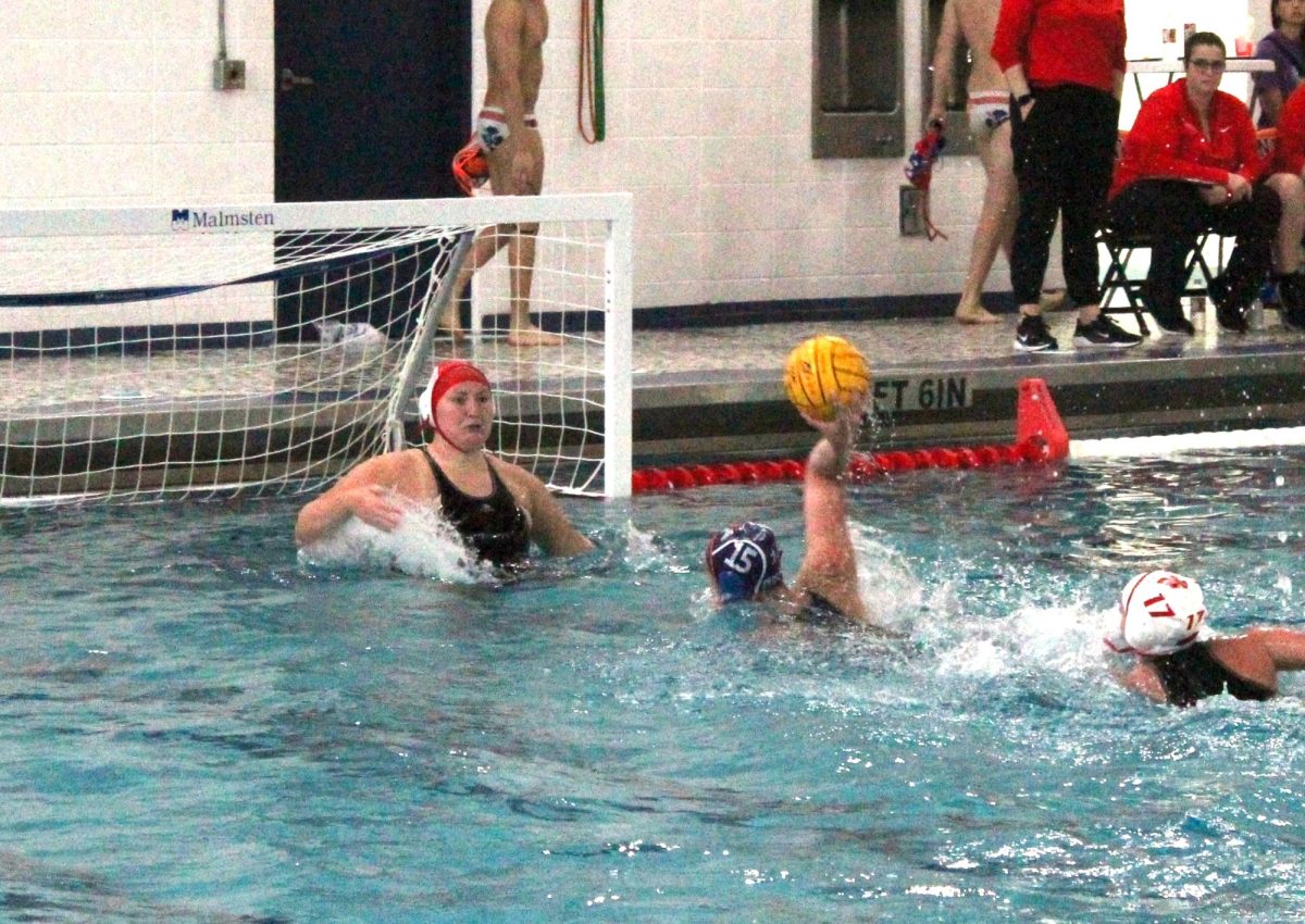 Payton Schrier (15) goes for the shot on a breakaway.