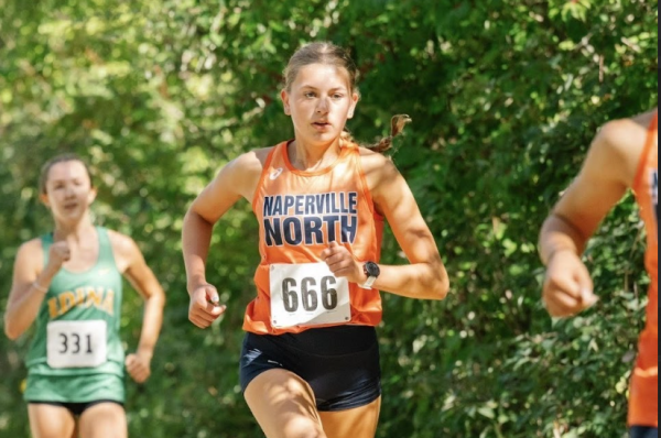 Naperville North’s All-Star Athletes: Thain Karr
